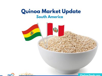 Quinoa Market Update, South America 2023