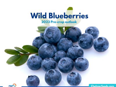 2023 Wild Blueberry Pre-crop Outlook